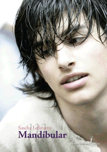 Sascha Le&szlig;mann: Mandibular