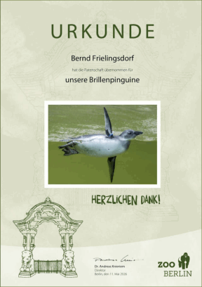 Patenschaftsurkunde